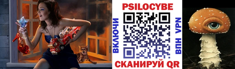 Псилоцибиновые грибы Magic Shrooms  Купить где  Валуйки 